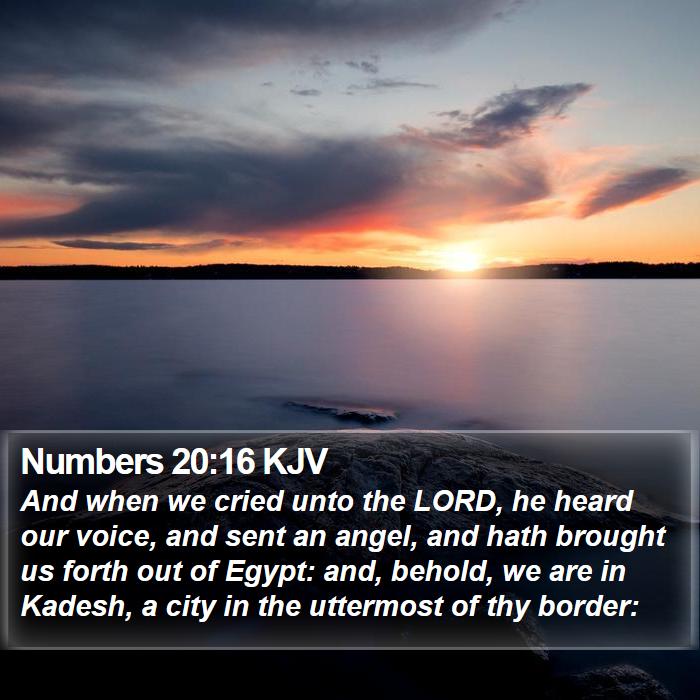 Numbers 20:16 KJV Bible Study