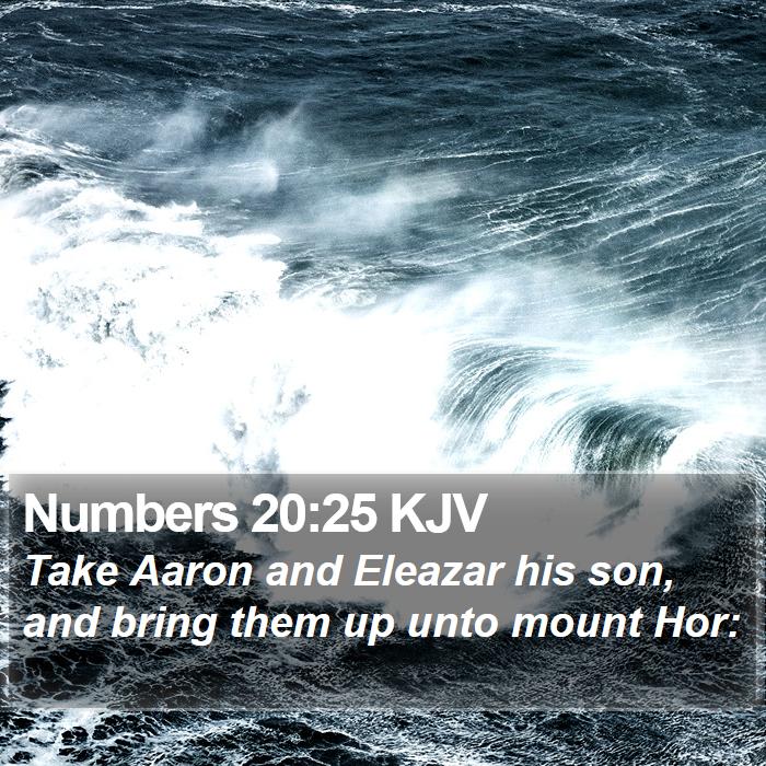 Numbers 20:25 KJV Bible Study