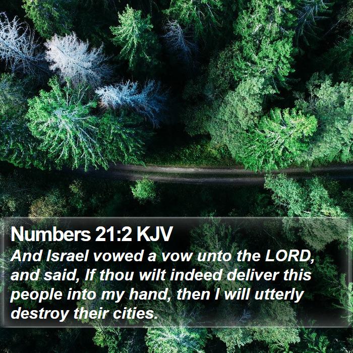 Numbers 21:2 KJV Bible Study