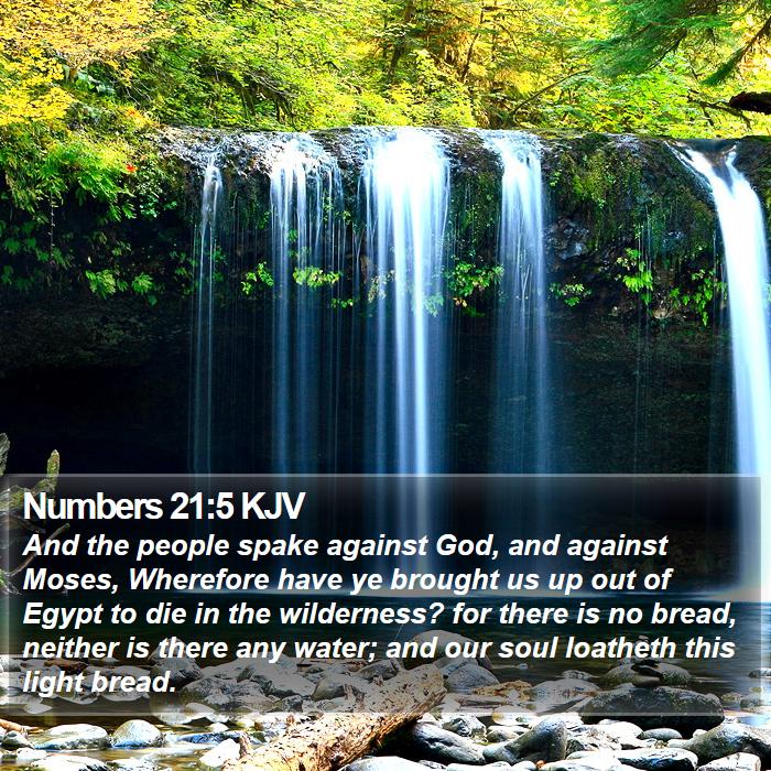 Numbers 21:5 KJV Bible Study