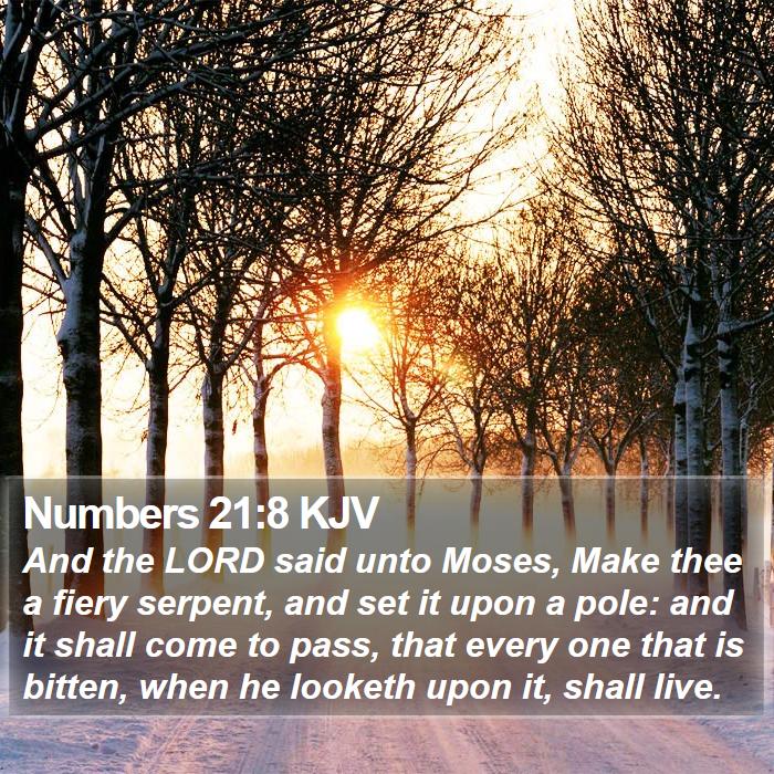 Numbers 21:8 KJV Bible Study