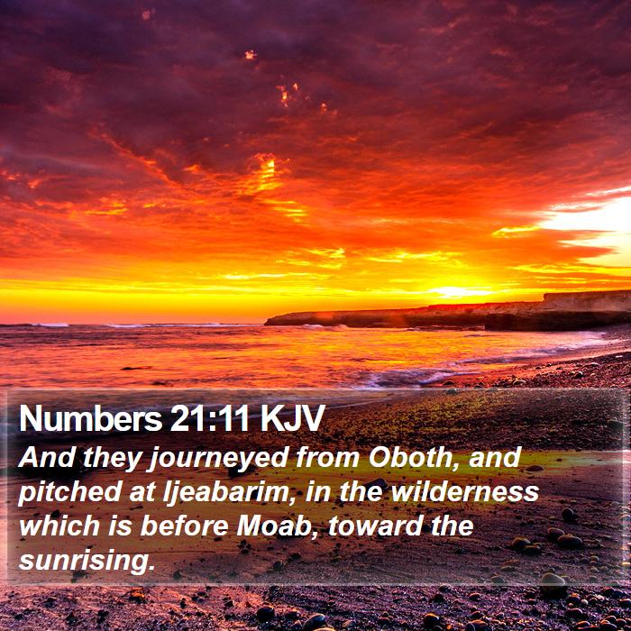 Numbers 21:11 KJV Bible Study