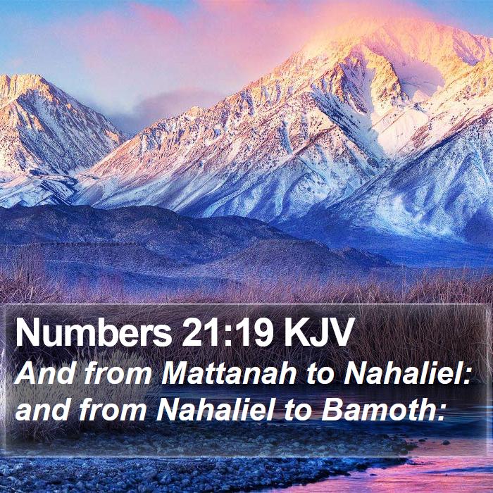 Numbers 21:19 KJV Bible Study