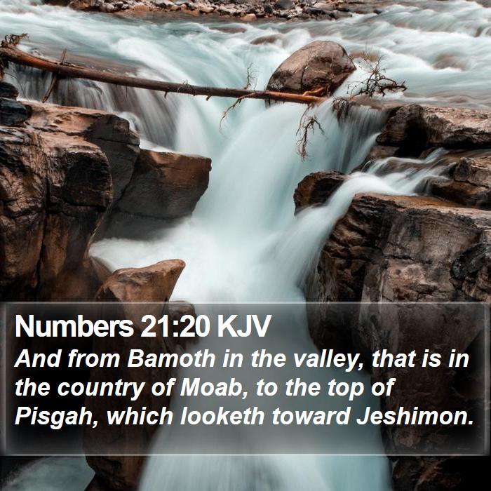 Numbers 21:20 KJV Bible Study