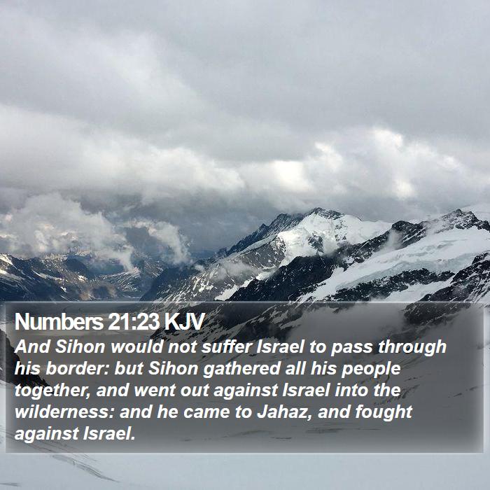 Numbers 21:23 KJV Bible Study