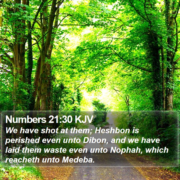 Numbers 21:30 KJV Bible Study