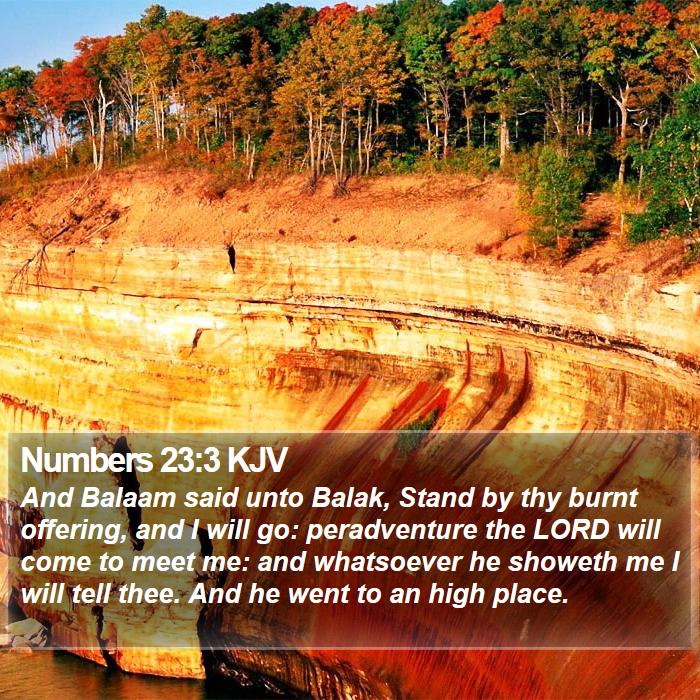 Numbers 23:3 KJV Bible Study