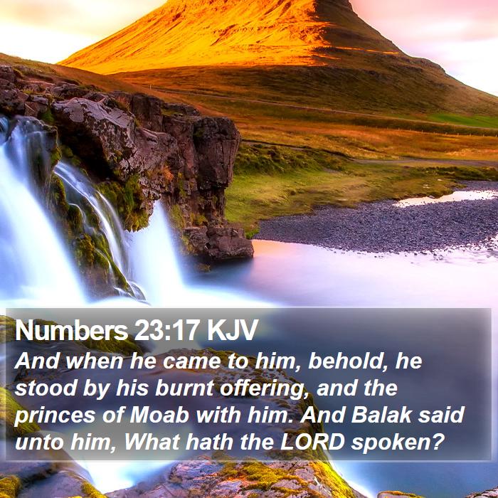 Numbers 23:17 KJV Bible Study
