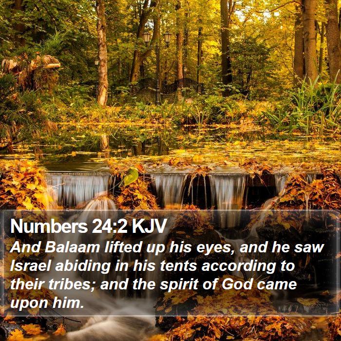 Numbers 24:2 KJV Bible Study