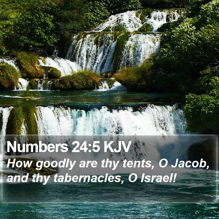 Numbers 24:5 KJV Bible Study