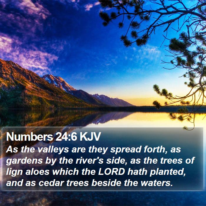 Numbers 24:6 KJV Bible Study