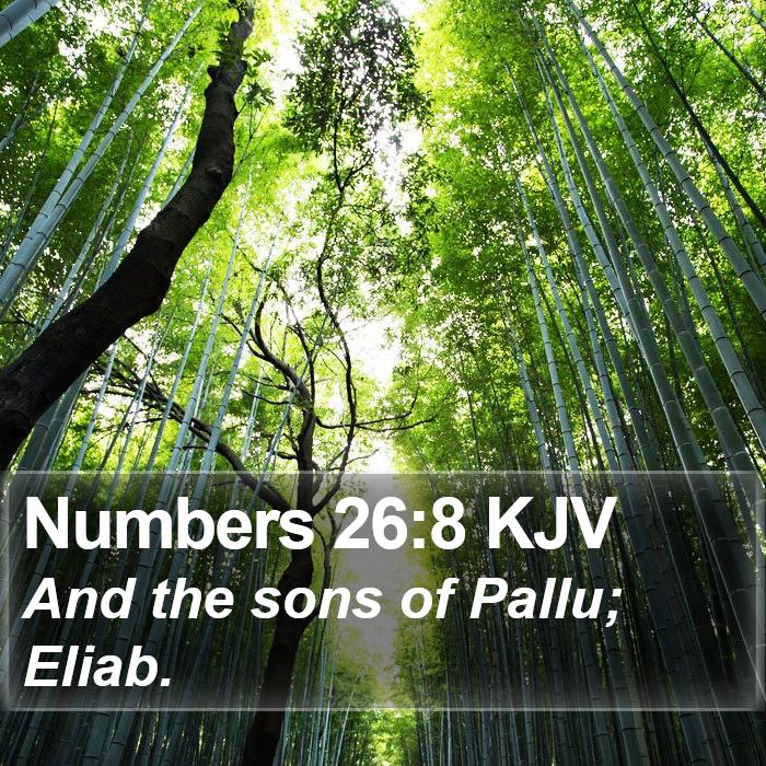 Numbers 26:8 KJV Bible Study