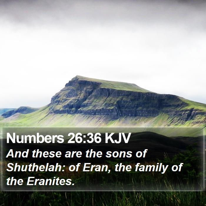 Numbers 26:36 KJV Bible Study