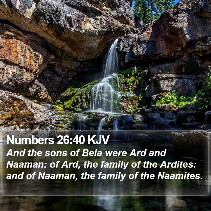 Numbers 26:40 KJV Bible Study