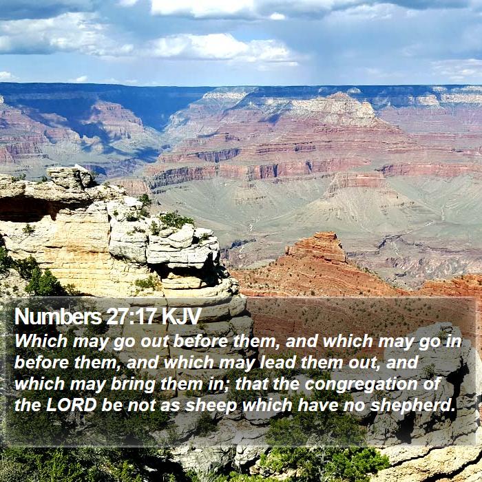 Numbers 27:17 KJV Bible Study