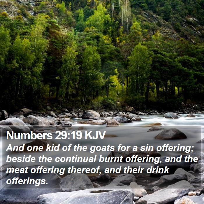 Numbers 29:19 KJV Bible Study