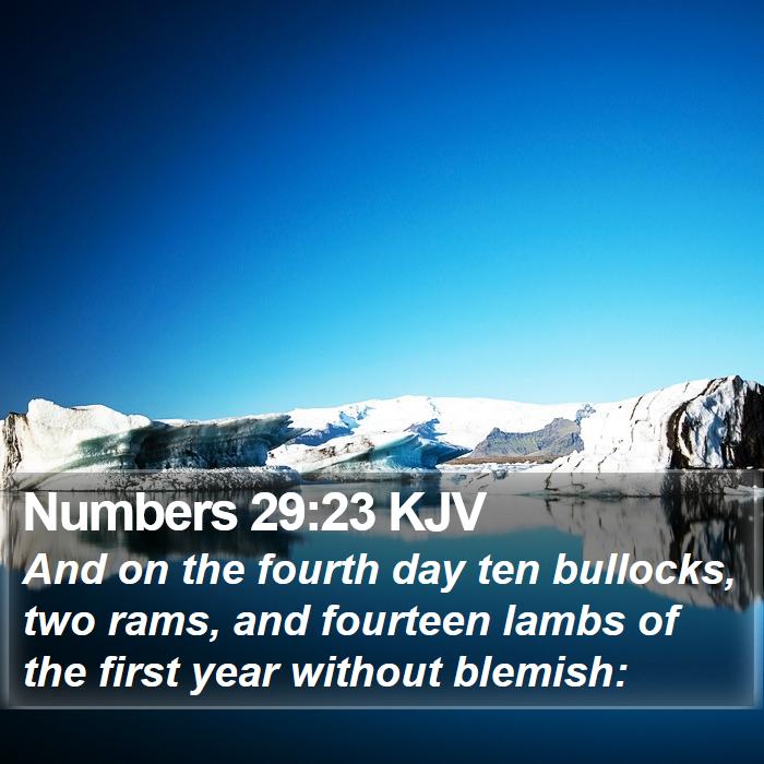Numbers 29:23 KJV Bible Study