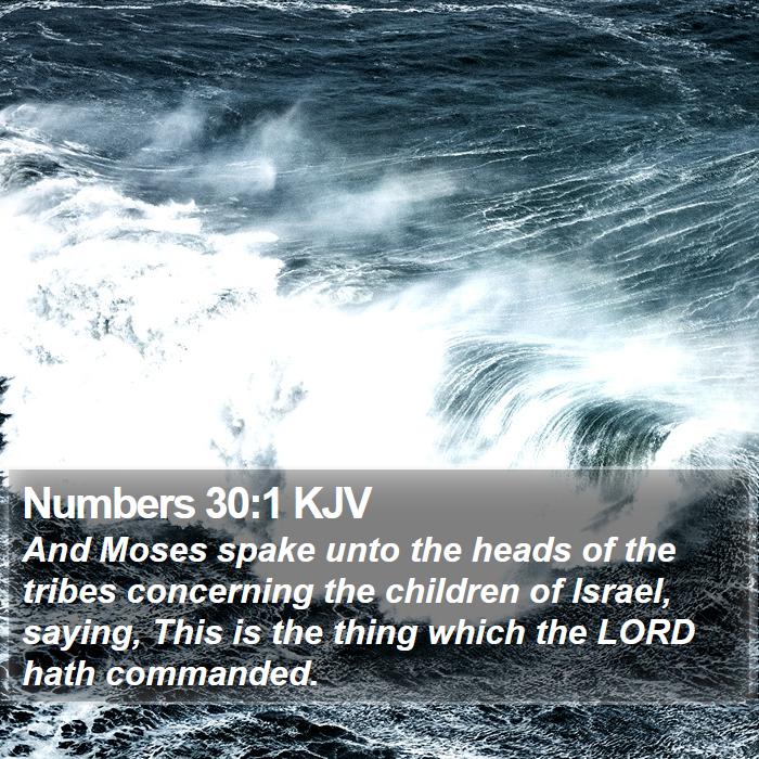 Numbers 30:1 KJV Bible Study