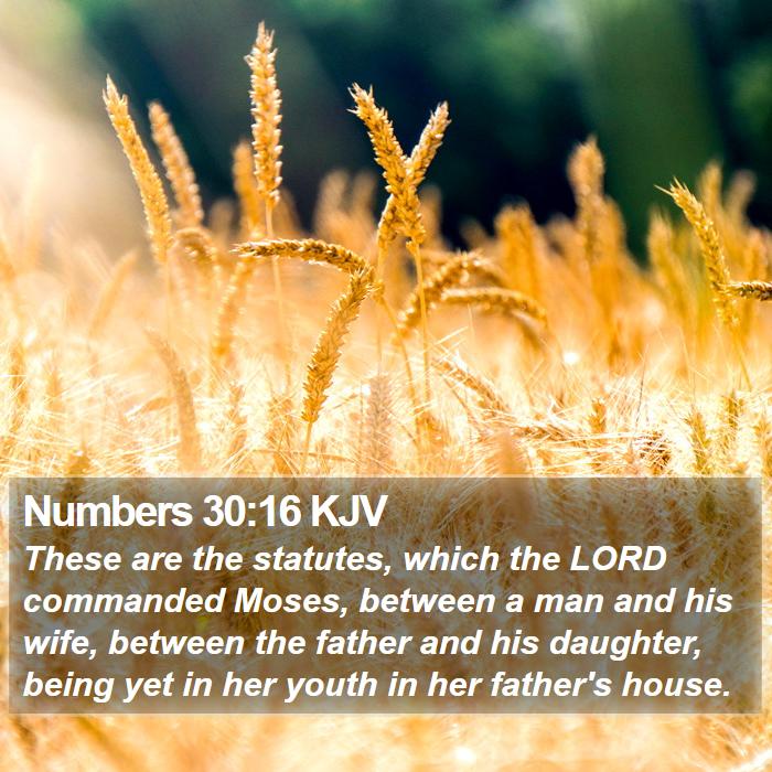 Numbers 30:16 KJV Bible Study