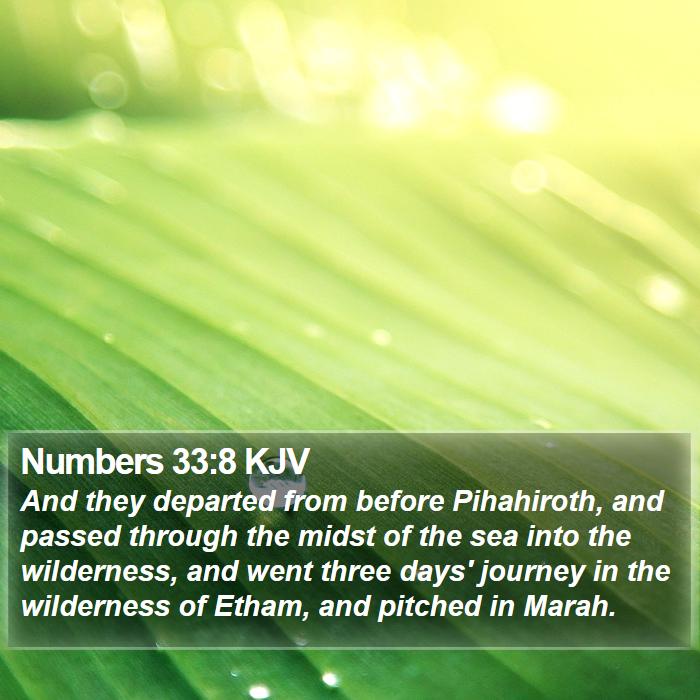 Numbers 33:8 KJV Bible Study