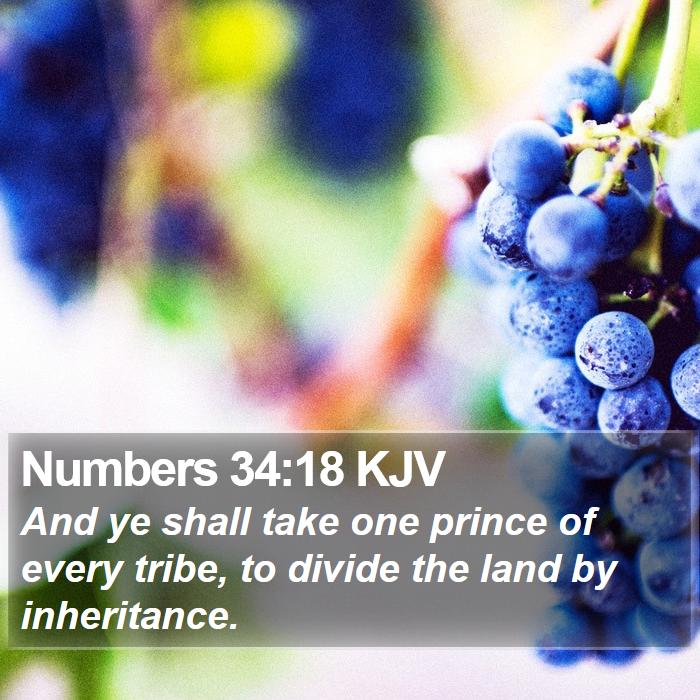 Numbers 34:18 KJV Bible Study