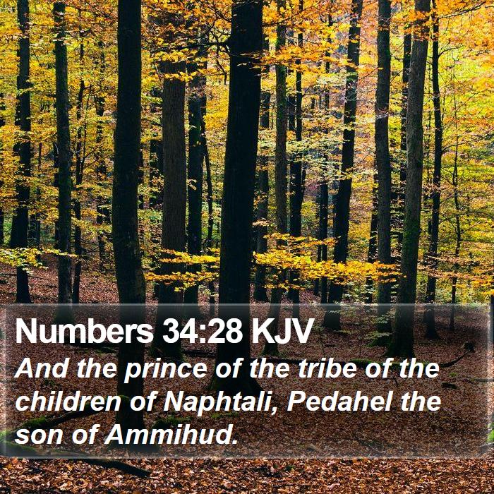 Numbers 34:28 KJV Bible Study