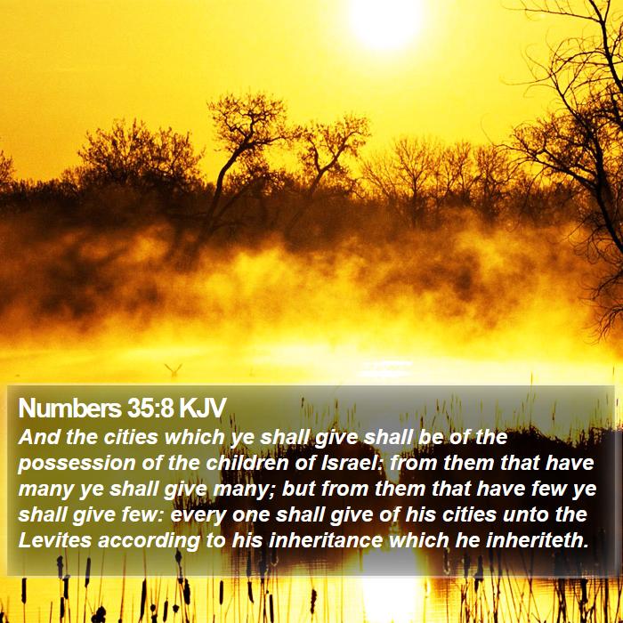 Numbers 35:8 KJV Bible Study