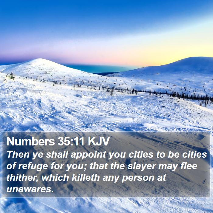 Numbers 35:11 KJV Bible Study