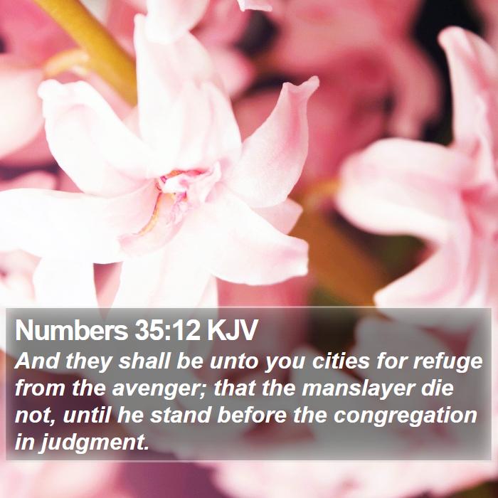 Numbers 35:12 KJV Bible Study