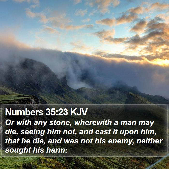 Numbers 35:23 KJV Bible Study