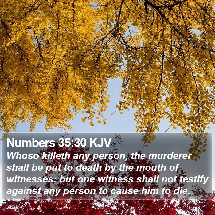 Numbers 35:30 KJV Bible Study