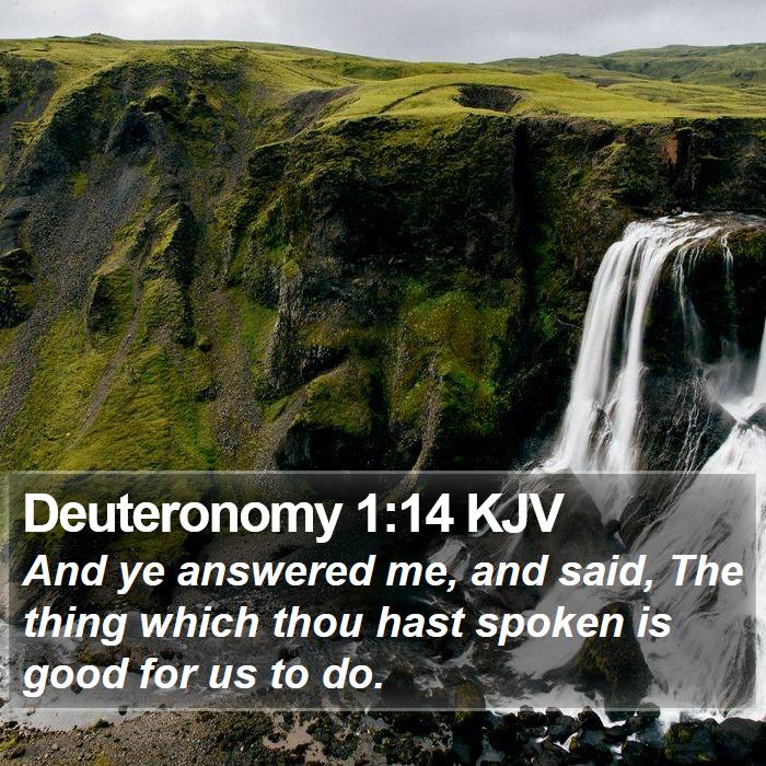 Deuteronomy 1:14 KJV Bible Study