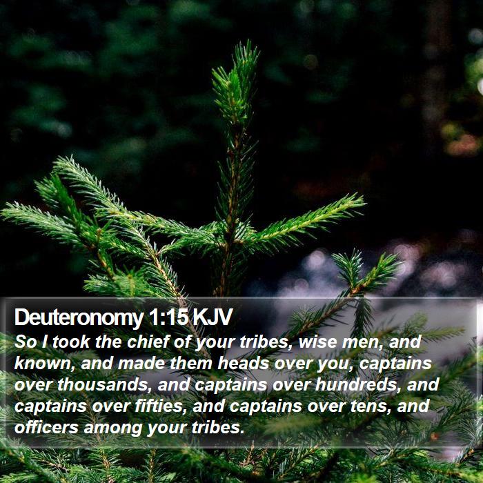 Deuteronomy 1:15 KJV Bible Study