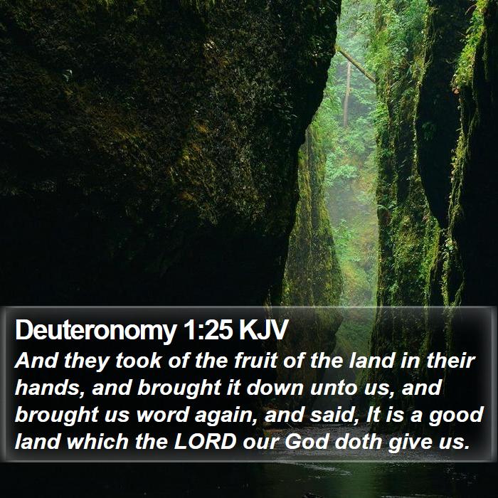 Deuteronomy 1:25 KJV Bible Study