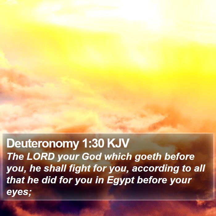 Deuteronomy 1:30 KJV Bible Study