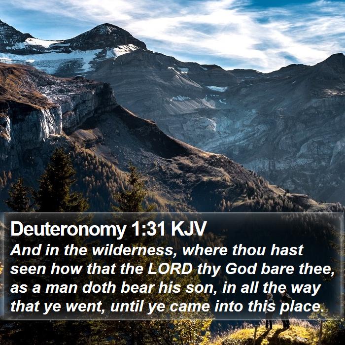 Deuteronomy 1:31 KJV Bible Study