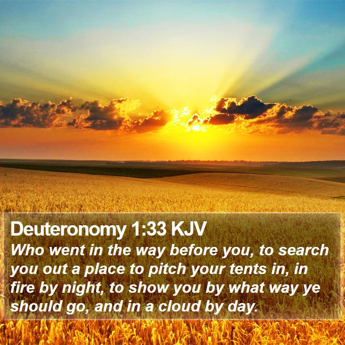 Deuteronomy 1:33 KJV Bible Study