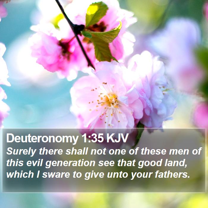 Deuteronomy 1:35 KJV Bible Study