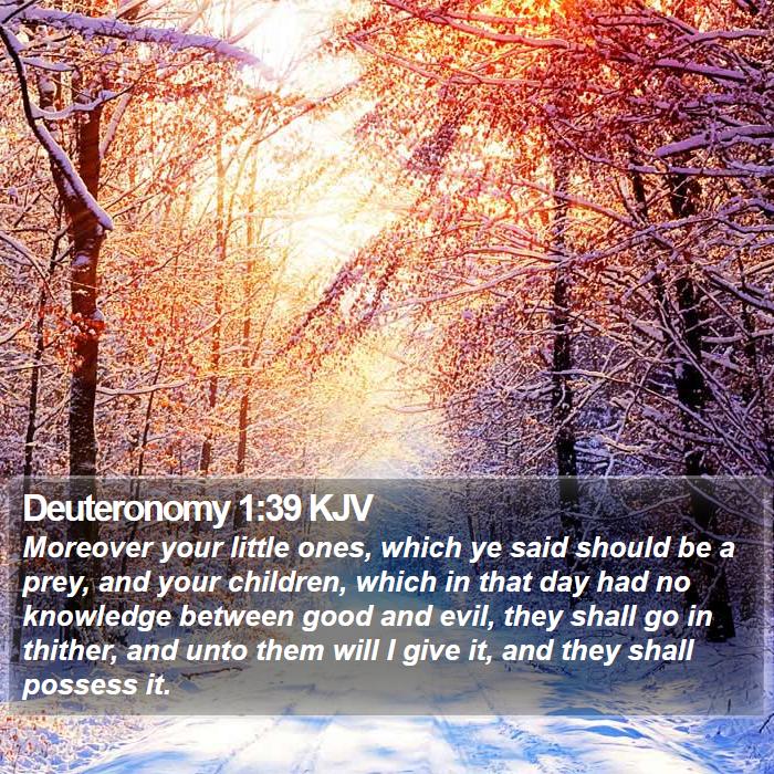 Deuteronomy 1:39 KJV Bible Study