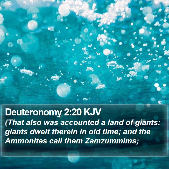 Deuteronomy 2:20 KJV Bible Study