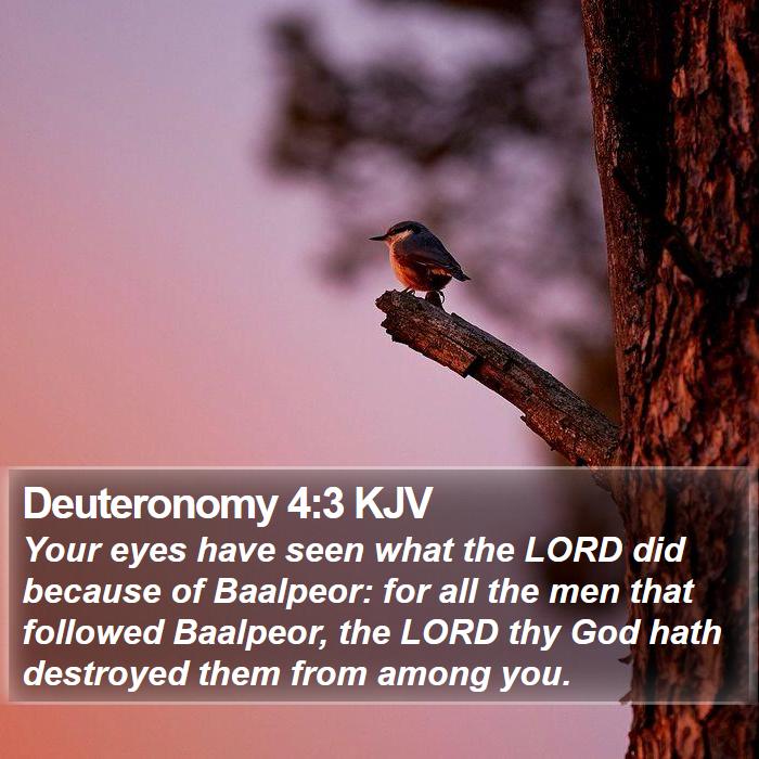 Deuteronomy 4:3 KJV Bible Study