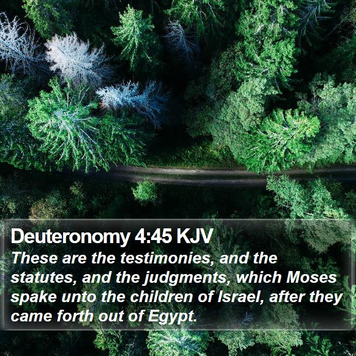 Deuteronomy 4:45 KJV Bible Study