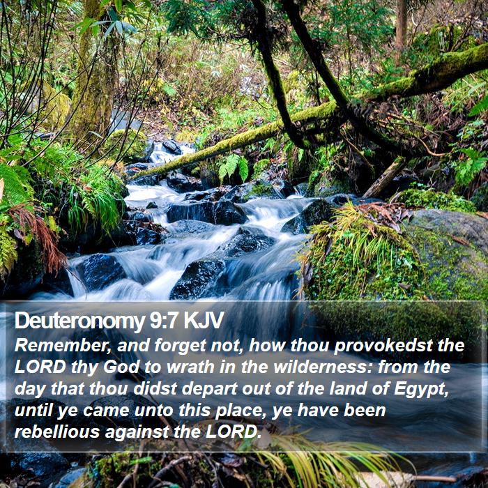 Deuteronomy 9:7 KJV Bible Study