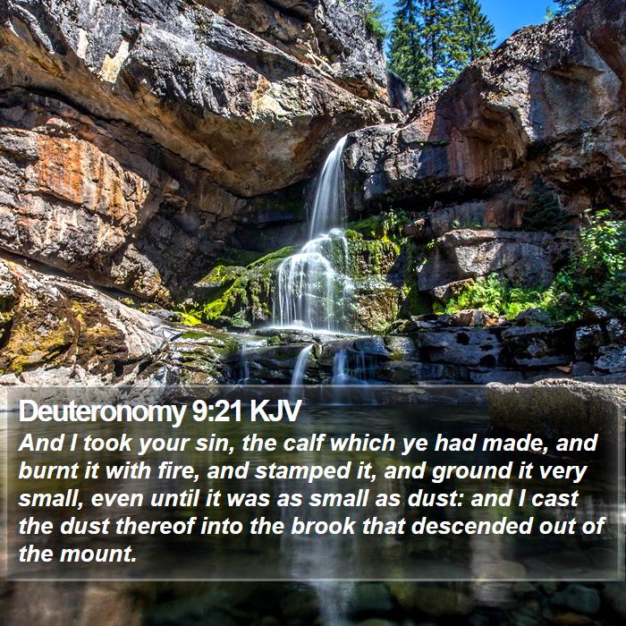 Deuteronomy 9:21 KJV Bible Study