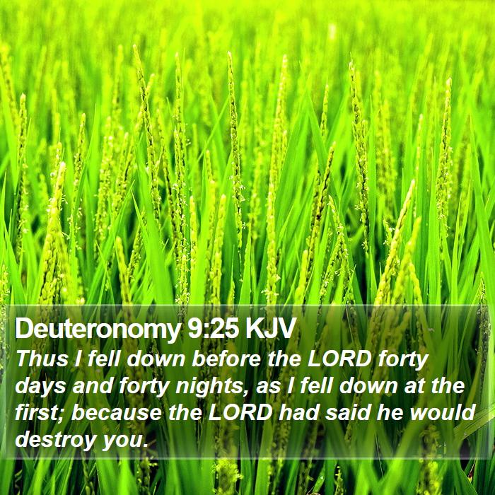 Deuteronomy 9:25 KJV Bible Study