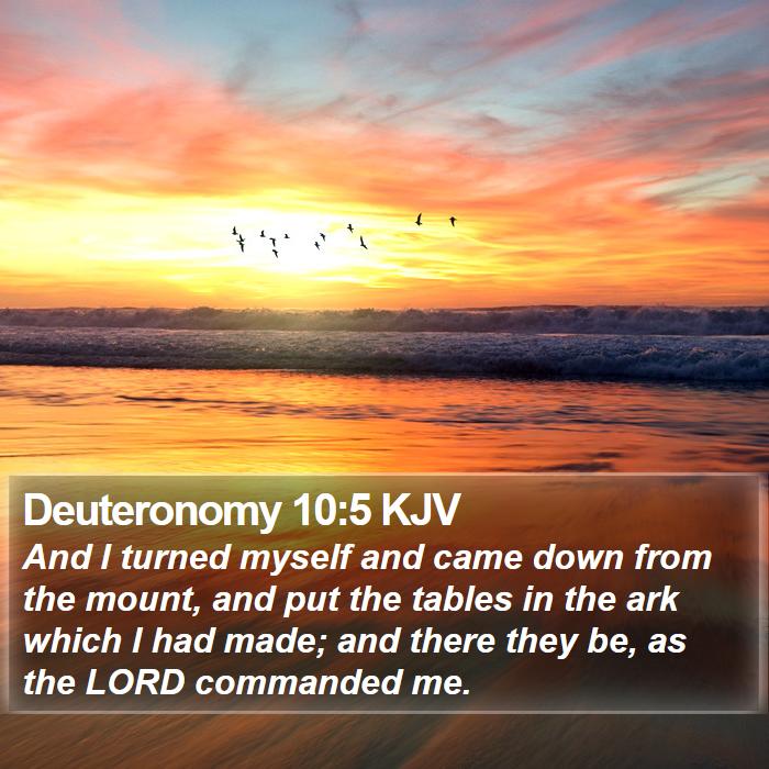 Deuteronomy 10:5 KJV Bible Study