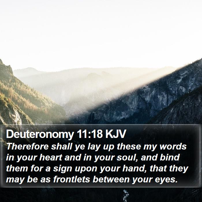 Deuteronomy 11:18 KJV Bible Study