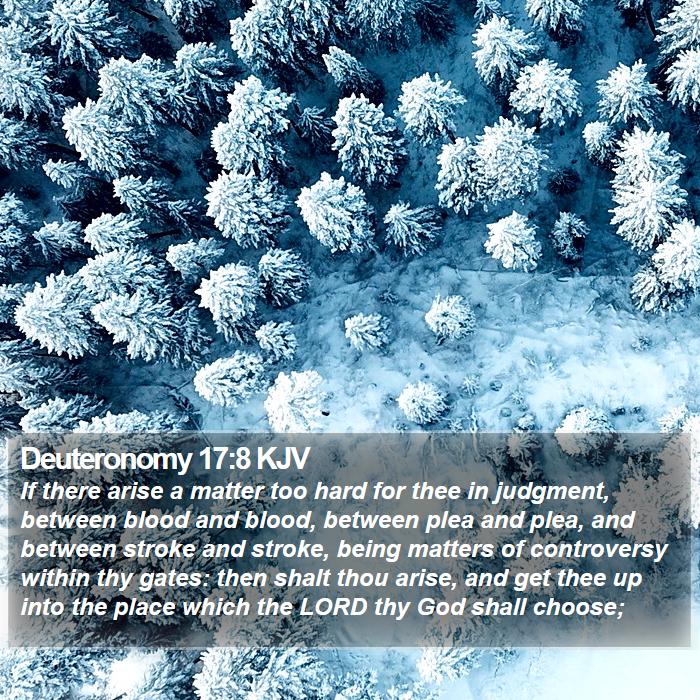 Deuteronomy 17:8 KJV Bible Study