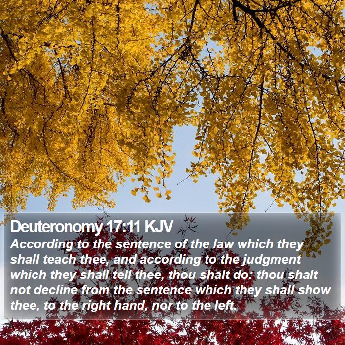 Deuteronomy 17:11 KJV Bible Study