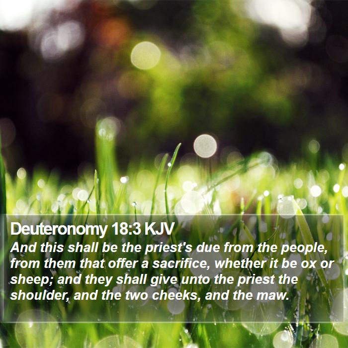 Deuteronomy 18:3 KJV Bible Study